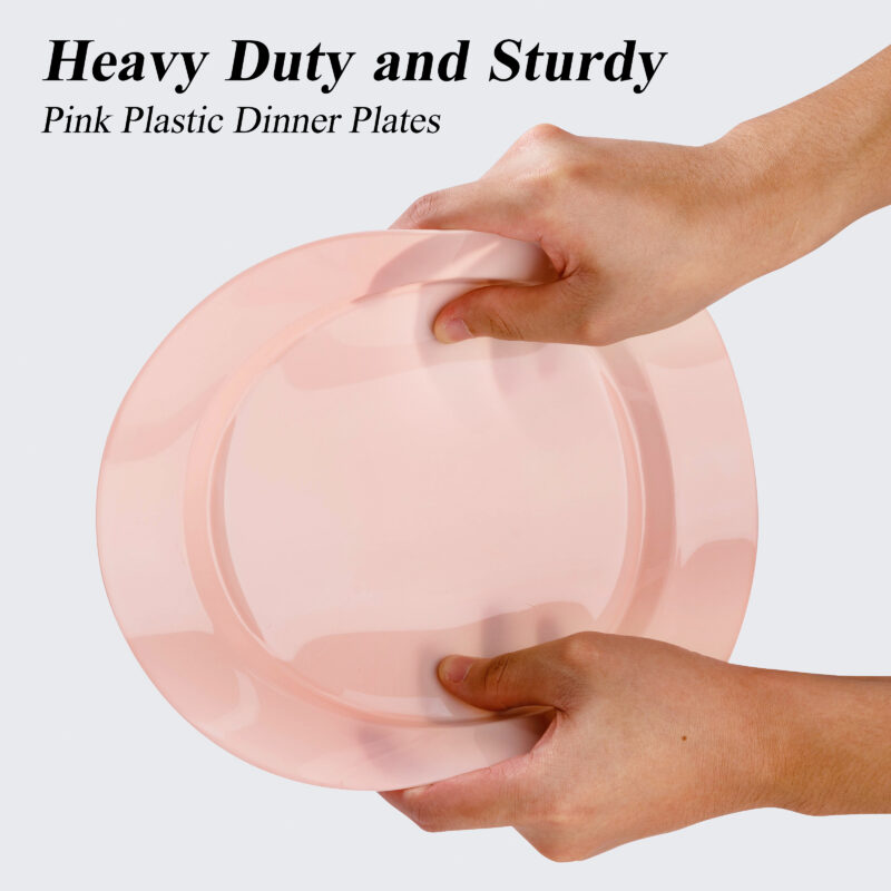 10.25 Pink Plates 2