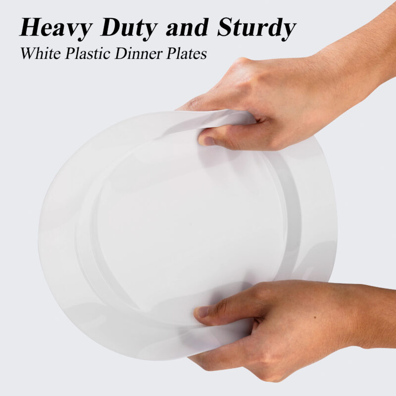 10.25 White Plates 2